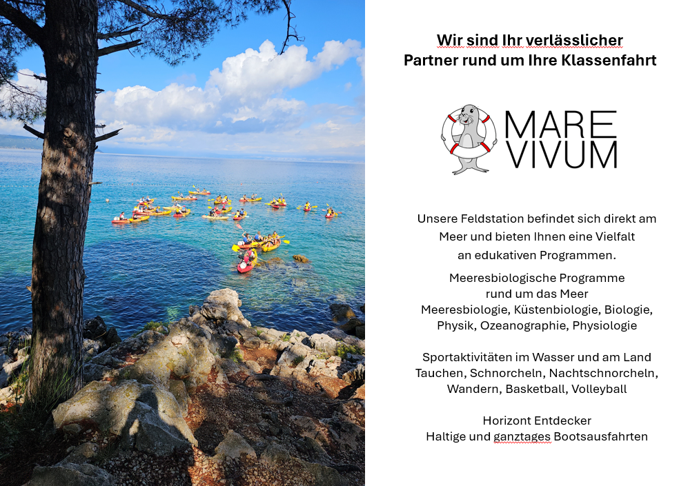 Mare Vivum Angebot 2025 1