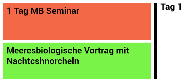 Modulares Unterrichtsprinzip