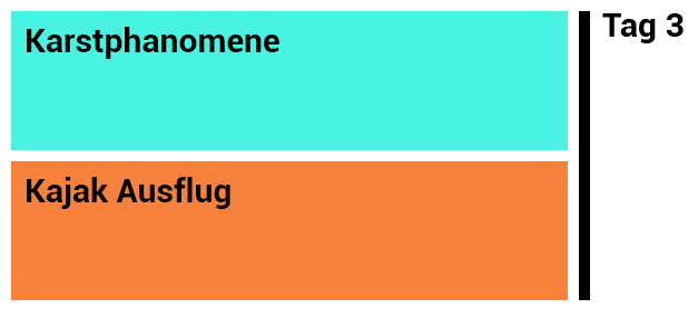 Modulares Unterrichtsprinzip
